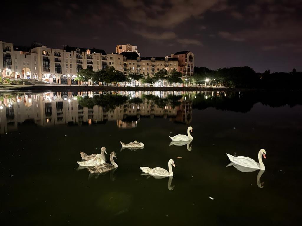 Vue Exceptionnelle Sur Le Lac Créteil Eksteriør bilde